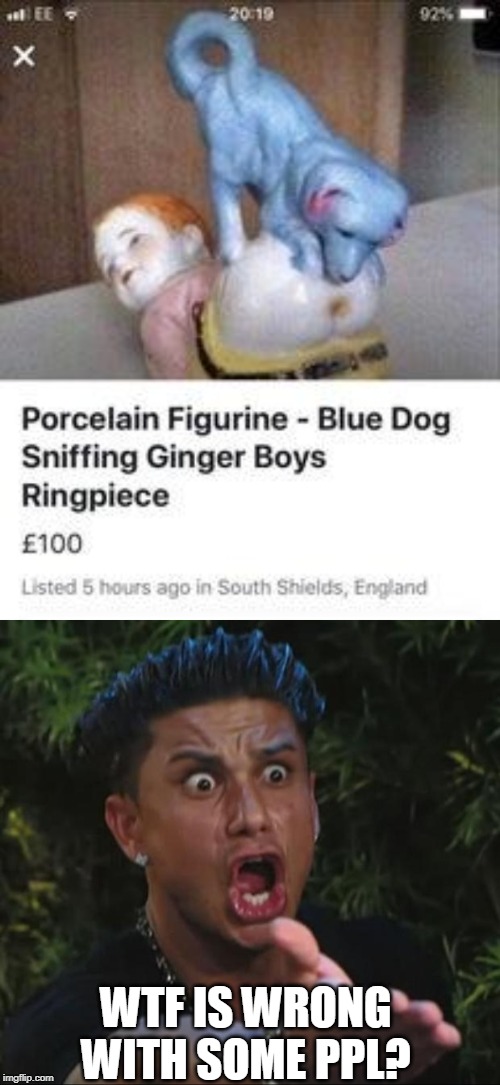 wtf "ringpiece"??? | WTF IS WRONG WITH SOME PPL? | image tagged in memes,dj pauly d,wtf | made w/ Imgflip meme maker