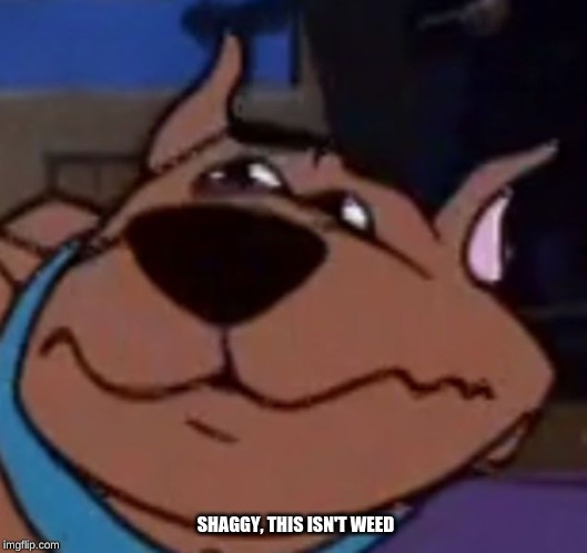 scooby doo shaggy weed