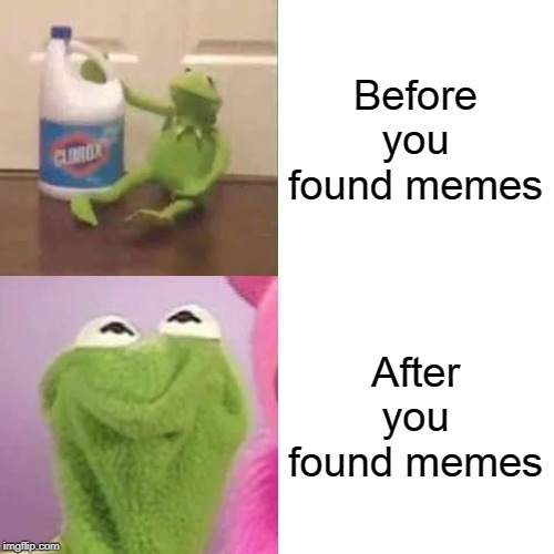 kemrit tteh forg | Before you found memes; After you found memes | image tagged in memes,drake hotline bling,kermit the frog,dank memes | made w/ Imgflip meme maker