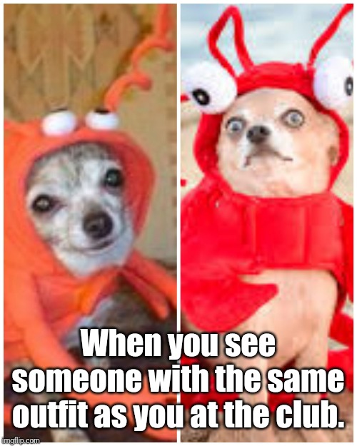 Dogs Crab Same Outfit | When you see someone with the same outfit as you at the club. | image tagged in dogs crab same outfit,memes | made w/ Imgflip meme maker