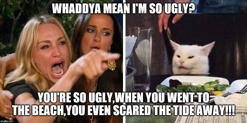 Smudge the cat | WHADDYA MEAN I'M SO UGLY? YOU'RE SO UGLY,WHEN YOU WENT TO THE BEACH,YOU EVEN SCARED THE TIDE AWAY!!! | image tagged in smudge the cat | made w/ Imgflip meme maker