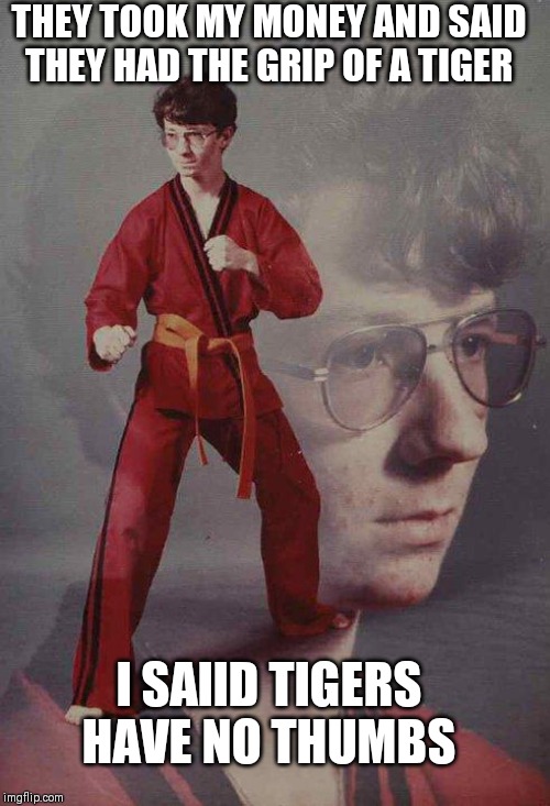 Karate Kyle | THEY TOOK MY MONEY AND SAID THEY HAD THE GRIP OF A TIGER; I SAIID TIGERS HAVE NO THUMBS | image tagged in memes,karate kyle | made w/ Imgflip meme maker