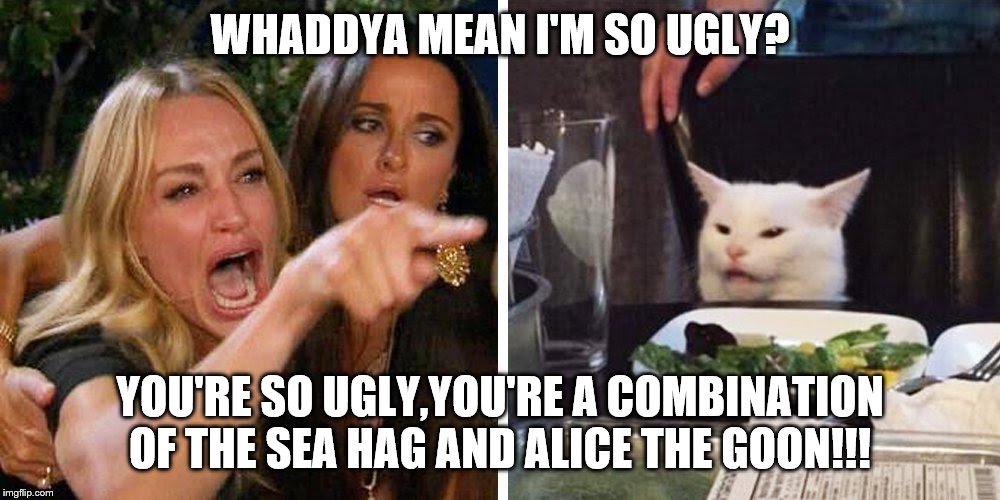 Smudge the cat | WHADDYA MEAN I'M SO UGLY? YOU'RE SO UGLY,YOU'RE A COMBINATION OF THE SEA HAG AND ALICE THE GOON!!! | image tagged in smudge the cat | made w/ Imgflip meme maker