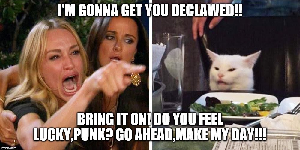 Smudge the cat | I'M GONNA GET YOU DECLAWED!! BRING IT ON! DO YOU FEEL LUCKY,PUNK? GO AHEAD,MAKE MY DAY!!! | image tagged in smudge the cat | made w/ Imgflip meme maker