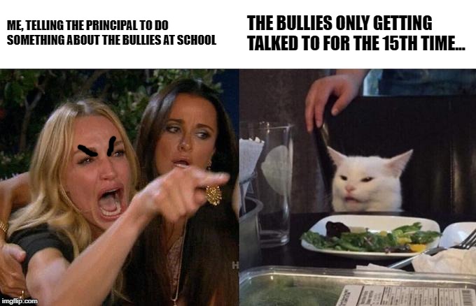 Woman Yelling At Cat | ME, TELLING THE PRINCIPAL TO DO SOMETHING ABOUT THE BULLIES AT SCHOOL; THE BULLIES ONLY GETTING TALKED TO FOR THE 15TH TIME... | image tagged in memes,woman yelling at cat,school,bullying | made w/ Imgflip meme maker