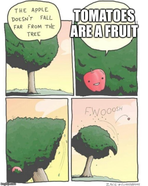 I hate it when things are backed up with scientific fact | TOMATOES ARE A FRUIT | image tagged in apple tree,tomatoes,isaac_laugh | made w/ Imgflip meme maker
