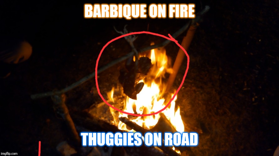 BARBIQUE ON FIRE; THUGGIES ON ROAD | image tagged in best memes | made w/ Imgflip meme maker