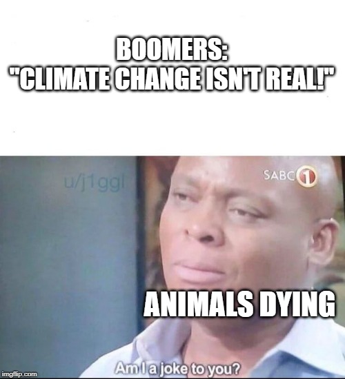 am I a joke to you | BOOMERS:
"CLIMATE CHANGE ISN'T REAL!"; ANIMALS DYING | image tagged in am i a joke to you | made w/ Imgflip meme maker