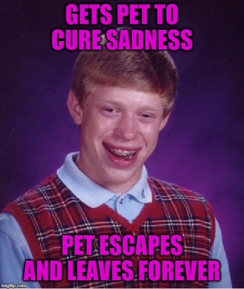 Bad Luck Brian Meme | GETS PET TO CURE SADNESS; PET ESCAPES AND LEAVES FOREVER | image tagged in memes,bad luck brian | made w/ Imgflip meme maker