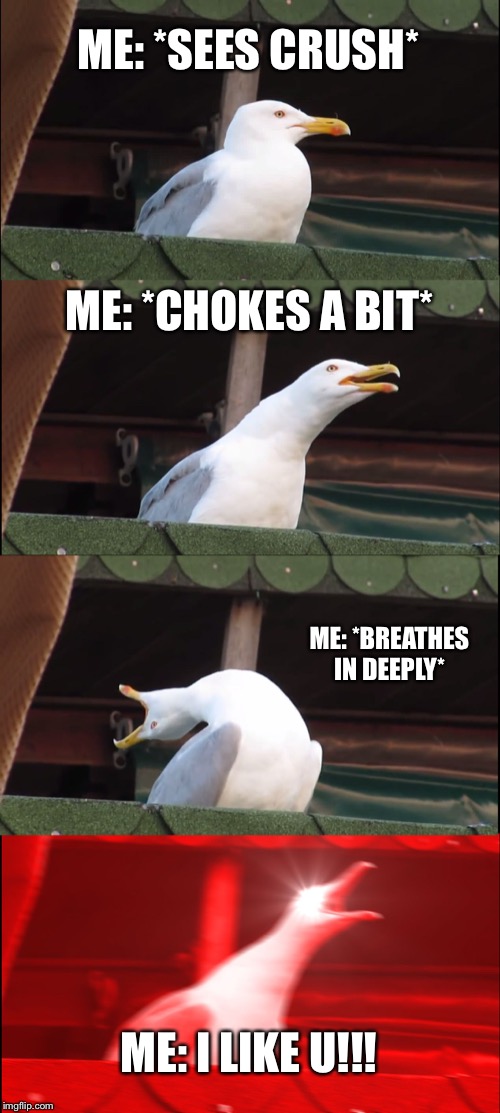 Inhaling Seagull Meme | ME: *SEES CRUSH*; ME: *CHOKES A BIT*; ME: *BREATHES IN DEEPLY*; ME: I LIKE U!!! | image tagged in memes,inhaling seagull | made w/ Imgflip meme maker