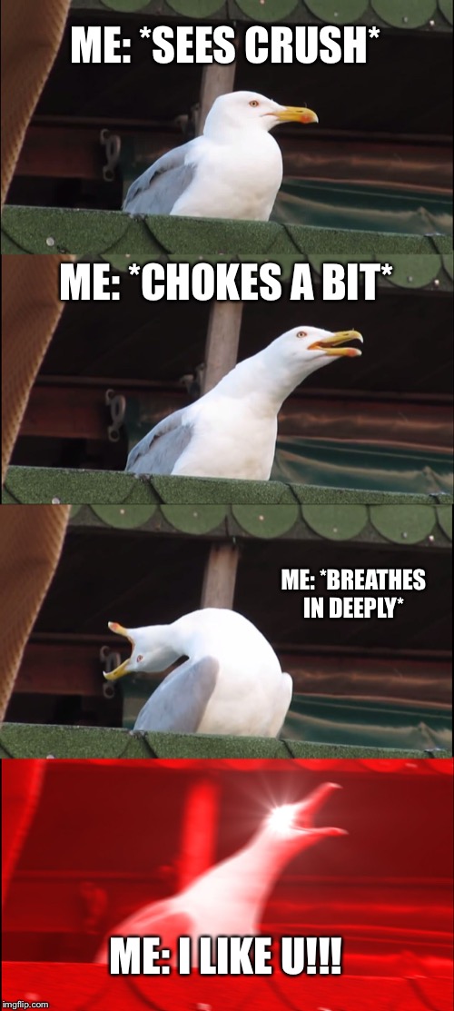 Inhaling Seagull | ME: *SEES CRUSH*; ME: *CHOKES A BIT*; ME: *BREATHES IN DEEPLY*; ME: I LIKE U!!! | image tagged in memes,inhaling seagull | made w/ Imgflip meme maker