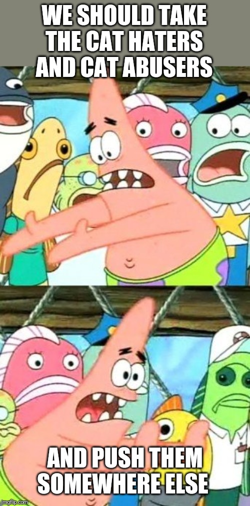 Put It Somewhere Else Patrick Meme | WE SHOULD TAKE THE CAT HATERS AND CAT ABUSERS; AND PUSH THEM SOMEWHERE ELSE | image tagged in memes,put it somewhere else patrick,cat memes,cats,funny memes | made w/ Imgflip meme maker