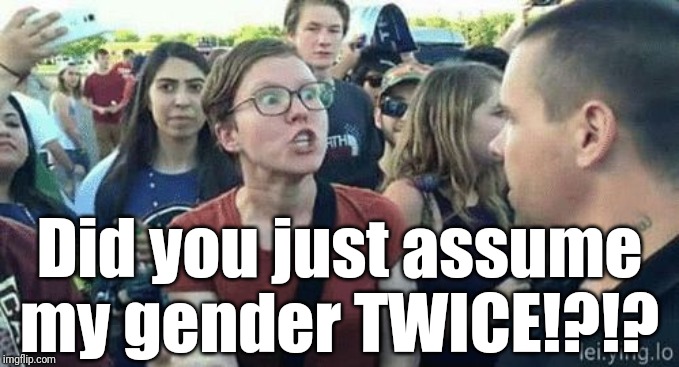 Assume Gender | Did you just assume my gender TWICE!?!? | image tagged in assume gender | made w/ Imgflip meme maker