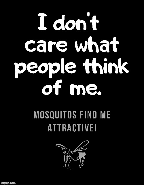 Mosquitos find me attractive | image tagged in fun,funny,jokes,quotes,lol | made w/ Imgflip meme maker