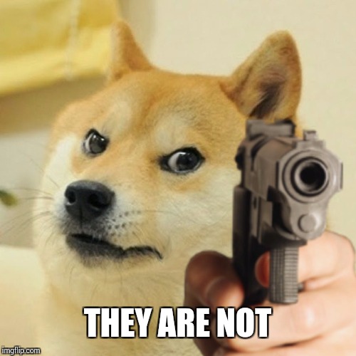 Doge holding a gun | THEY ARE NOT | image tagged in doge holding a gun | made w/ Imgflip meme maker