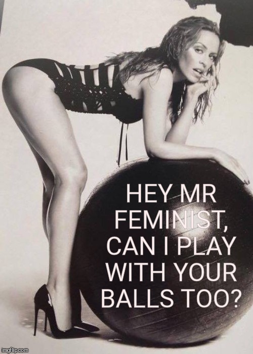 Kylie Exercise ball | HEY MR FEMINIST, CAN I PLAY WITH YOUR BALLS TOO? | image tagged in kylie exercise ball | made w/ Imgflip meme maker