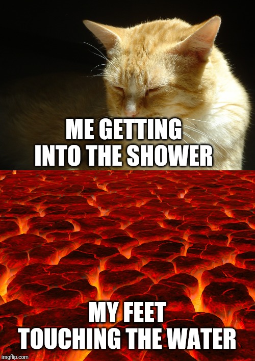 ME GETTING INTO THE SHOWER; MY FEET TOUCHING THE WATER | image tagged in memes,distracted boyfriend | made w/ Imgflip meme maker
