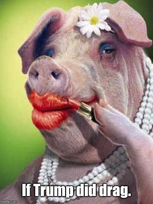 Sow Pig Makeup | If Trump did drag. | image tagged in sow pig makeup | made w/ Imgflip meme maker