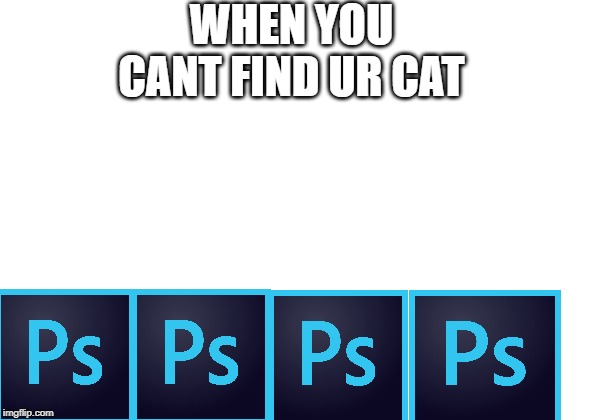 WHEN YOU CANT FIND UR CAT | image tagged in cats,memes,photoshop | made w/ Imgflip meme maker