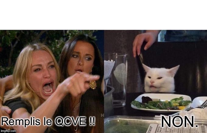 Woman Yelling At Cat | Remplis le QCVE !! NON. | image tagged in memes,woman yelling at cat | made w/ Imgflip meme maker