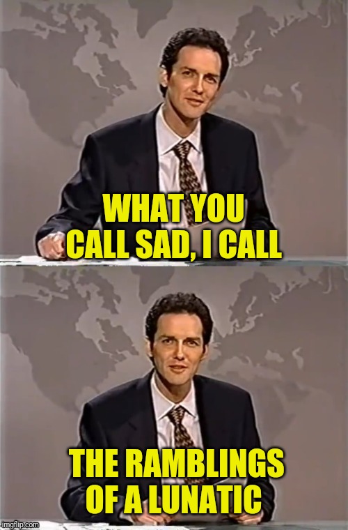 WEEKEND UPDATE WITH NORM | WHAT YOU CALL SAD, I CALL THE RAMBLINGS OF A LUNATIC | image tagged in weekend update with norm | made w/ Imgflip meme maker