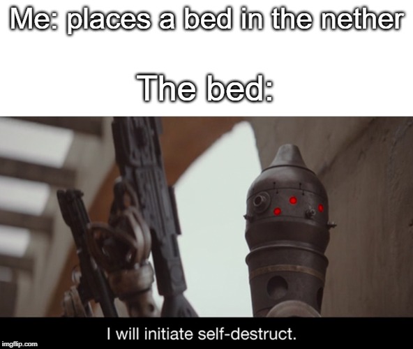 I Will Initiate Self-Destruct | Me: places a bed in the nether; The bed: | image tagged in i will initiate self-destruct | made w/ Imgflip meme maker