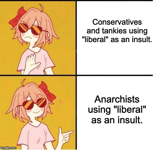 Sayori Drake | Conservatives and tankies using "liberal" as an insult. Anarchists using "liberal" as an insult. | image tagged in sayori drake,liberal,anarchism | made w/ Imgflip meme maker