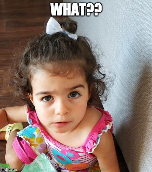 What?? | WHAT?? | image tagged in what | made w/ Imgflip meme maker