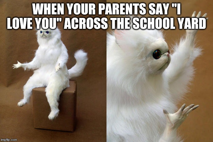 Persian Cat Room Guardian Meme | WHEN YOUR PARENTS SAY "I LOVE YOU" ACROSS THE SCHOOL YARD | image tagged in memes,persian cat room guardian | made w/ Imgflip meme maker