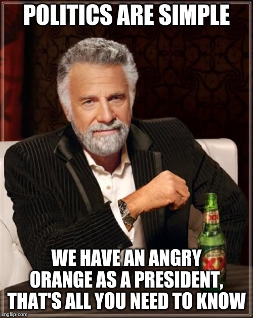 The Most Interesting Man In The World | POLITICS ARE SIMPLE; WE HAVE AN ANGRY ORANGE AS A PRESIDENT, THAT'S ALL YOU NEED TO KNOW | image tagged in memes,the most interesting man in the world | made w/ Imgflip meme maker