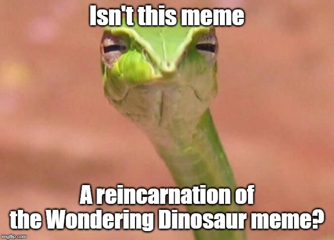 Skeptical snake |  Isn't this meme; A reincarnation of the Wondering Dinosaur meme? | image tagged in skeptical snake | made w/ Imgflip meme maker
