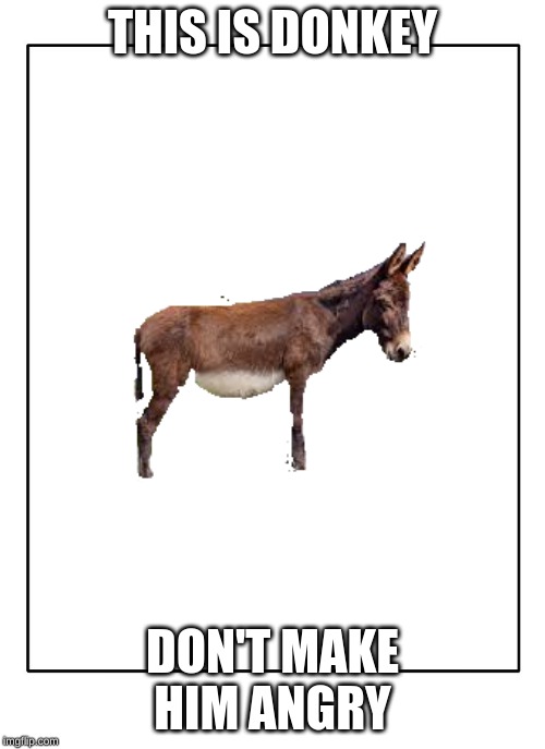 Blank Template | THIS IS DONKEY; DON'T MAKE HIM ANGRY | image tagged in blank template | made w/ Imgflip meme maker