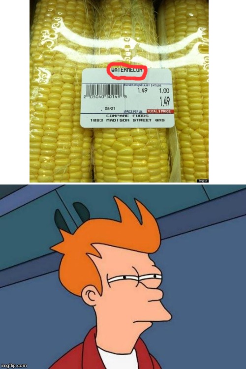 image tagged in memes,futurama fry,you had one job | made w/ Imgflip meme maker