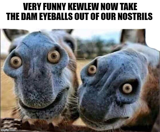 what if mule nostrils had eyes | VERY FUNNY KEWLEW NOW TAKE THE DAM EYEBALLS OUT OF OUR NOSTRILS | image tagged in mules,eyeballs,kewlew | made w/ Imgflip meme maker