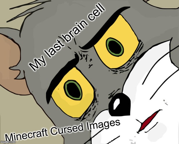 Unsettled Tom Meme | My last brain cell; Minecraft Cursed Images | image tagged in memes,unsettled tom | made w/ Imgflip meme maker
