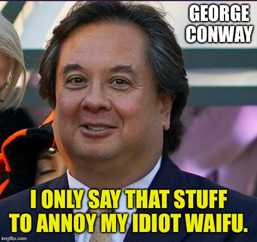 Fat George Conway | GEORGE 
CONWAY I ONLY SAY THAT STUFF TO ANNOY MY IDIOT WAIFU. | image tagged in fat george conway | made w/ Imgflip meme maker