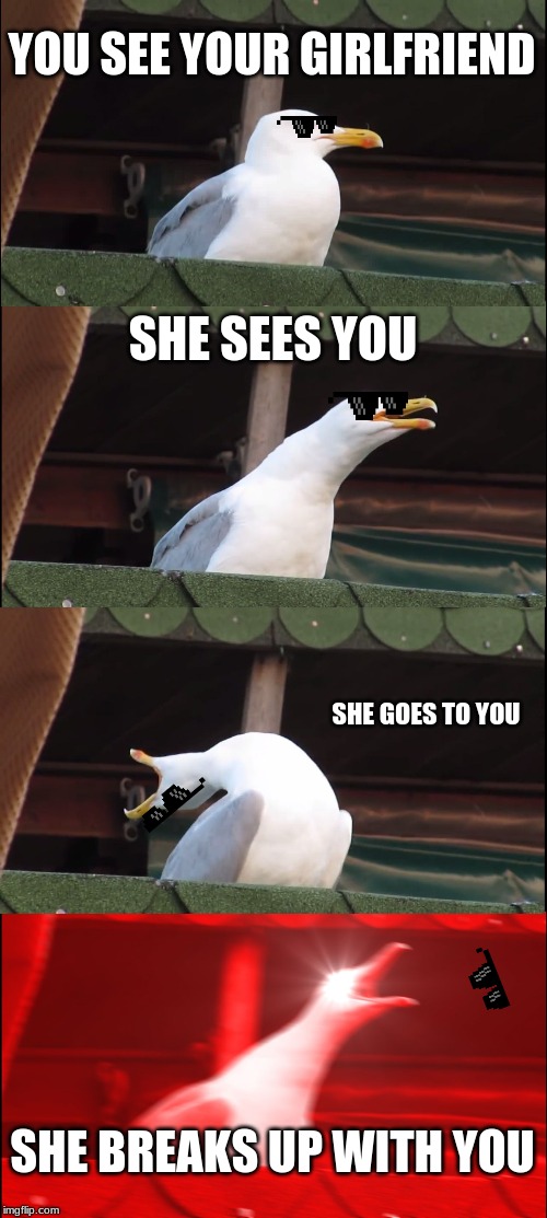Inhaling Seagull Meme | YOU SEE YOUR GIRLFRIEND; SHE SEES YOU; SHE GOES TO YOU; SHE BREAKS UP WITH YOU | image tagged in memes,inhaling seagull | made w/ Imgflip meme maker
