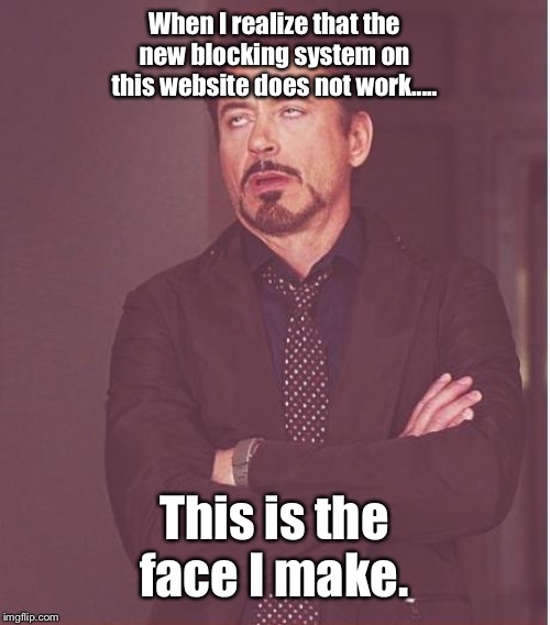 Blocking systems are supposed to work like the ones on Deviantart dear imgflip!! | When I realize that the new blocking system on this website does not work..... This is the face I make. | image tagged in memes,face you make robert downey jr | made w/ Imgflip meme maker