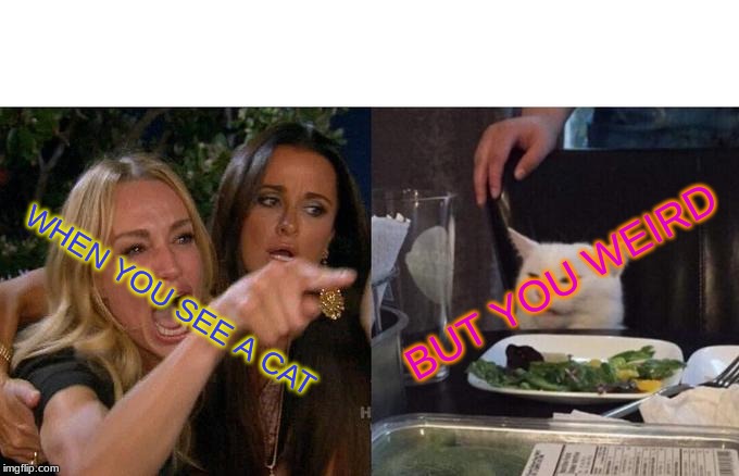 Woman Yelling At Cat | BUT YOU WEIRD; WHEN YOU SEE A CAT | image tagged in memes,woman yelling at cat | made w/ Imgflip meme maker