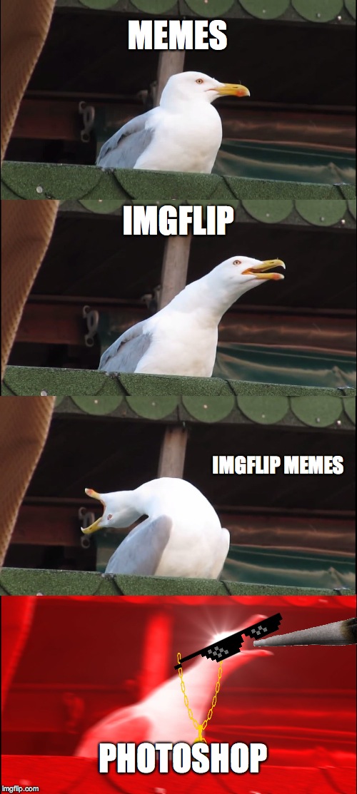 Inhaling Seagull | MEMES; IMGFLIP; IMGFLIP MEMES; PHOTOSHOP | image tagged in memes,inhaling seagull | made w/ Imgflip meme maker