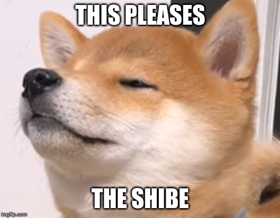THIS PLEASES; THE SHIBE | image tagged in shiba inu | made w/ Imgflip meme maker