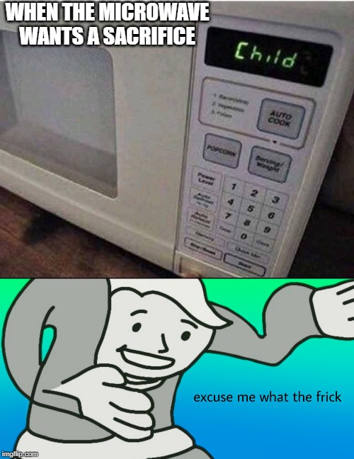 ExCuSe Me WhAt ThE FrIcK | WHEN THE MICROWAVE WANTS A SACRIFICE | image tagged in microwave | made w/ Imgflip meme maker