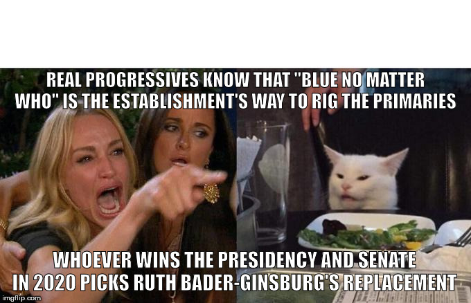 Woman Yelling At Cat | REAL PROGRESSIVES KNOW THAT "BLUE NO MATTER WHO" IS THE ESTABLISHMENT'S WAY TO RIG THE PRIMARIES; WHOEVER WINS THE PRESIDENCY AND SENATE IN 2020 PICKS RUTH BADER-GINSBURG'S REPLACEMENT | image tagged in memes,woman yelling at cat | made w/ Imgflip meme maker