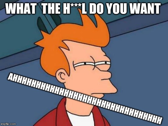 Futurama Fry | WHAT  THE H***L DO YOU WANT; AHHHHHHHHHHHHHHHHHHHHHHHHHHHHHHHH | image tagged in memes,futurama fry | made w/ Imgflip meme maker