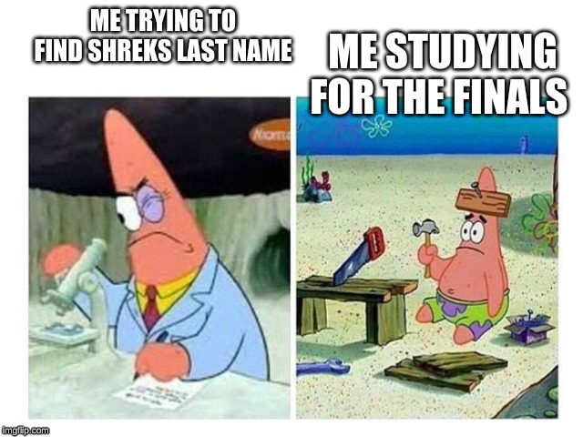 Patrick Scientist vs. Nail | ME STUDYING FOR THE FINALS; ME TRYING TO FIND SHREKS LAST NAME | image tagged in patrick scientist vs nail | made w/ Imgflip meme maker