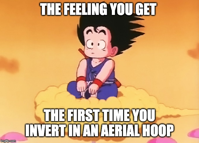 Goku on flying nimbus | THE FEELING YOU GET; THE FIRST TIME YOU INVERT IN AN AERIAL HOOP | image tagged in goku on flying nimbus | made w/ Imgflip meme maker
