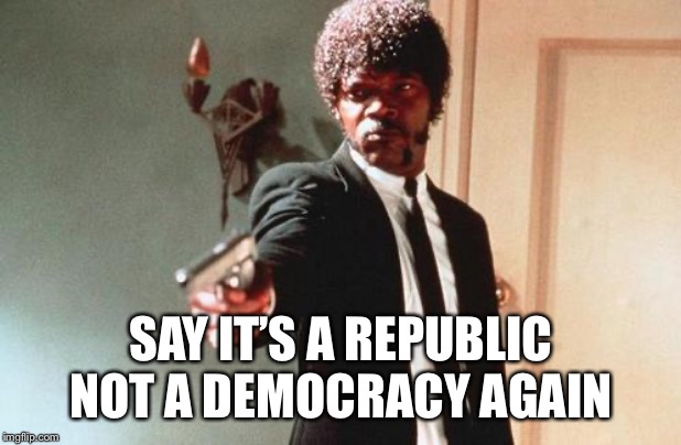 Say What Again | SAY IT’S A REPUBLIC NOT A DEMOCRACY AGAIN | image tagged in say what again | made w/ Imgflip meme maker