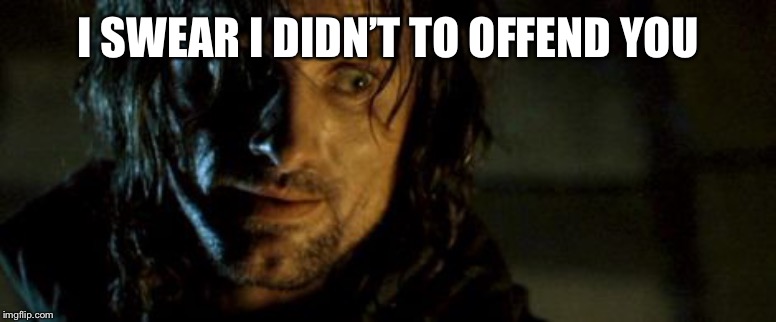 Aragorn - Not nearly frightened enough | I SWEAR I DIDN’T TO OFFEND YOU | image tagged in aragorn - not nearly frightened enough | made w/ Imgflip meme maker