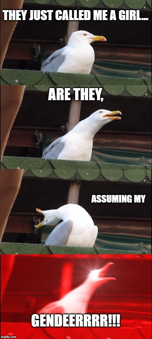 Inhaling Seagull Meme | THEY JUST CALLED ME A GIRL... ARE THEY, ASSUMING MY; GENDEERRRR!!! | image tagged in memes,inhaling seagull | made w/ Imgflip meme maker