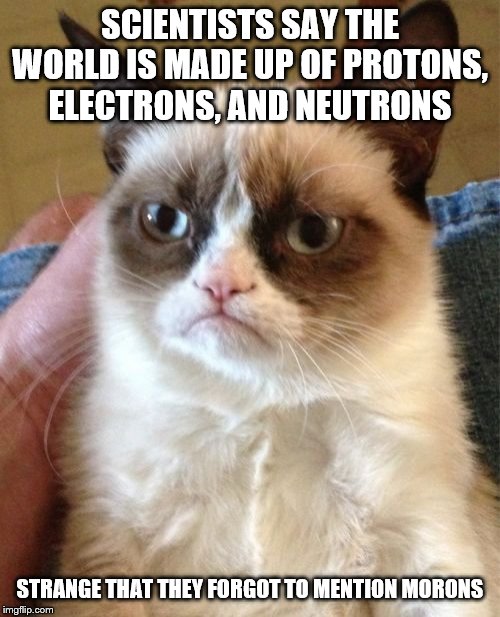 Grumpy Cat Meme | SCIENTISTS SAY THE WORLD IS MADE UP OF PROTONS, ELECTRONS, AND NEUTRONS; STRANGE THAT THEY FORGOT TO MENTION MORONS | image tagged in memes,grumpy cat | made w/ Imgflip meme maker